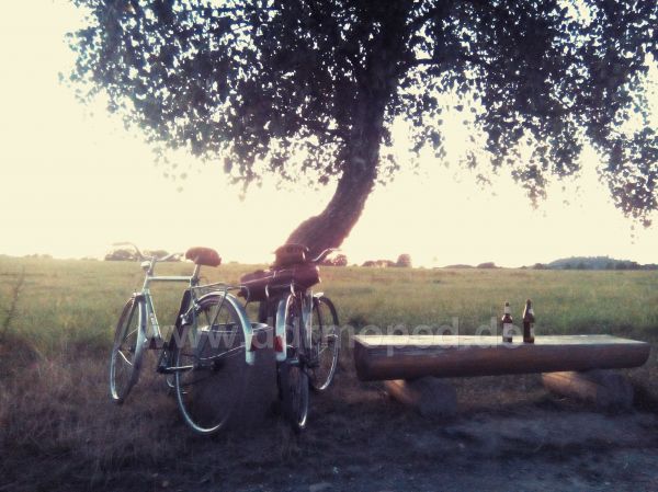 Angefgtes Bild