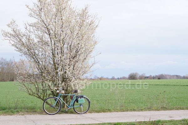 Angefgtes Bild