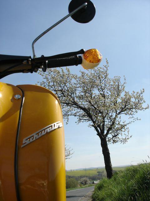 Angefgtes Bild