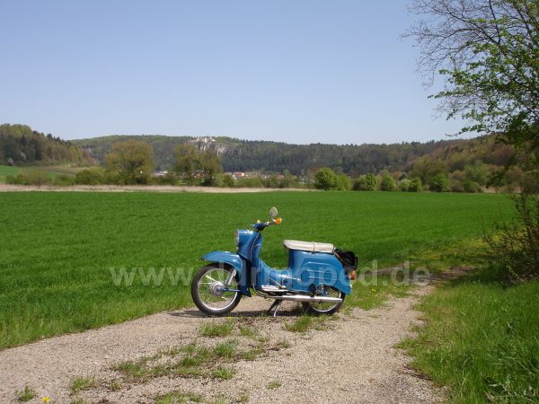 Angefgtes Bild