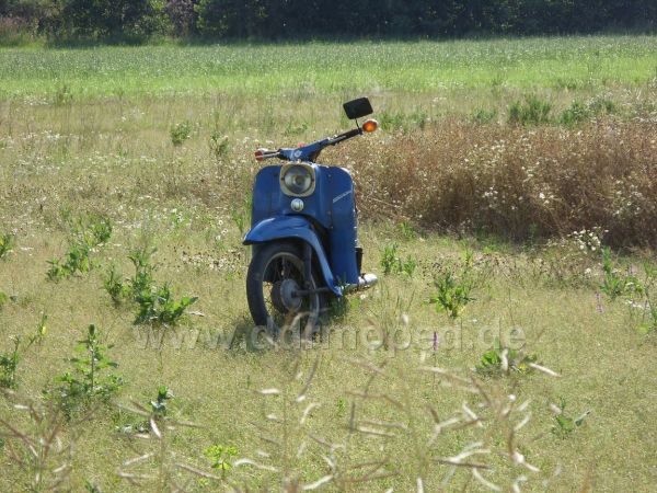 Angefgtes Bild
