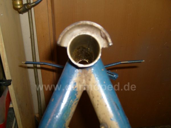 Angefgtes Bild