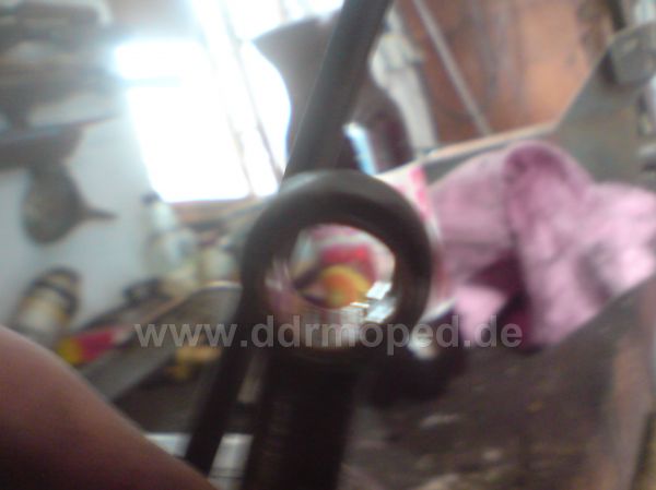 Angefgtes Bild