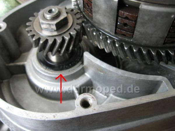 Angefügtes Bild