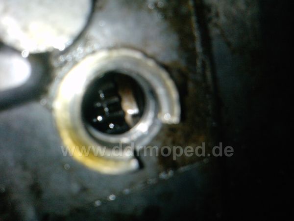 Angefügtes Bild