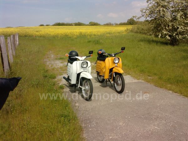 Angefügtes Bild