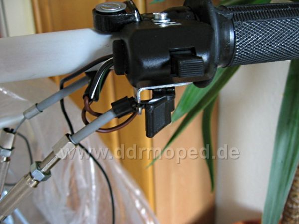 Angefgtes Bild
