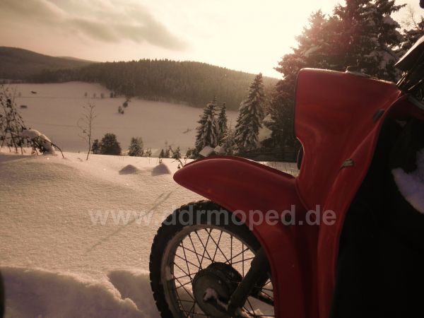 Angefgtes Bild