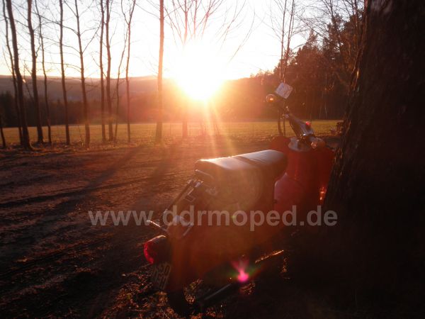 Angefgtes Bild