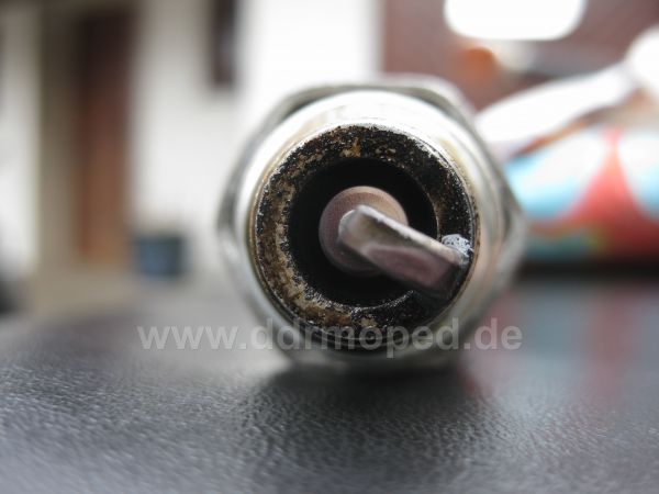 Angefgtes Bild