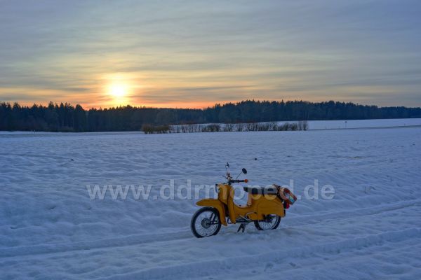 Angefgtes Bild