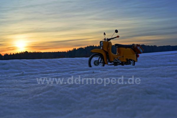 Angefgtes Bild