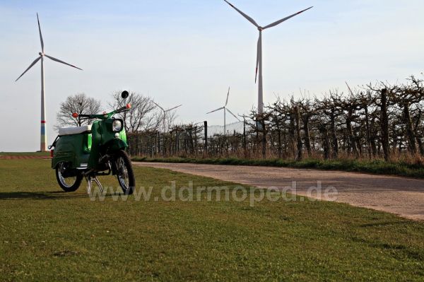 Angefgtes Bild