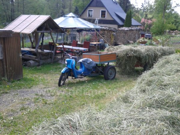 Angefgtes Bild