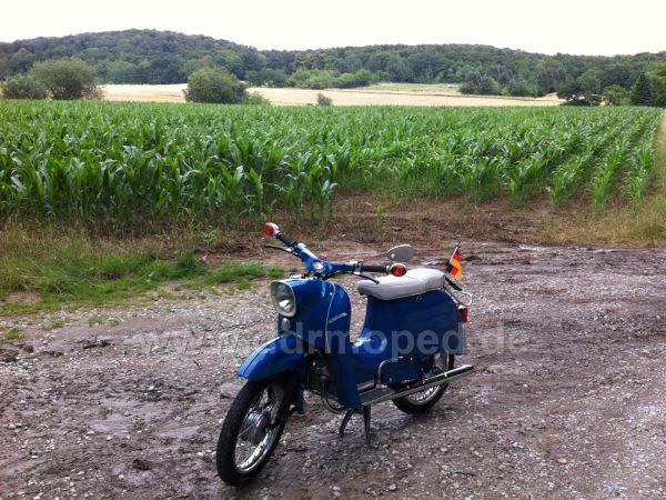 Angefgtes Bild