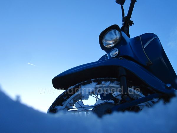 Angefgtes Bild