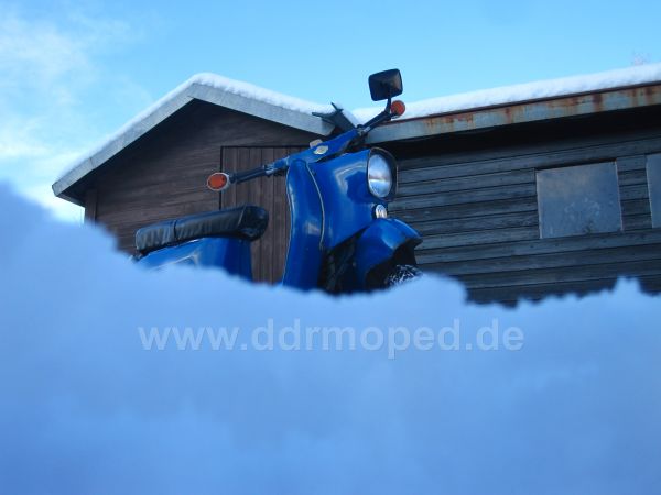Angefgtes Bild