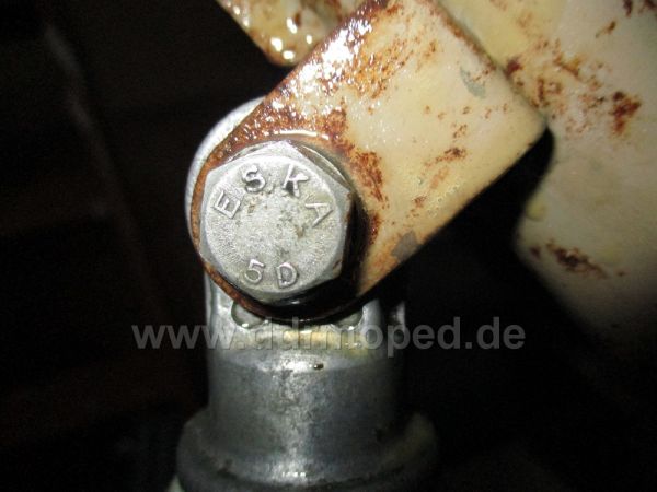 Angefgtes Bild