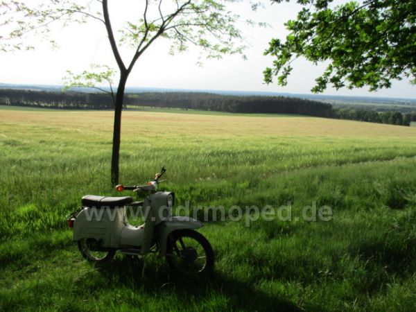 Angefgtes Bild