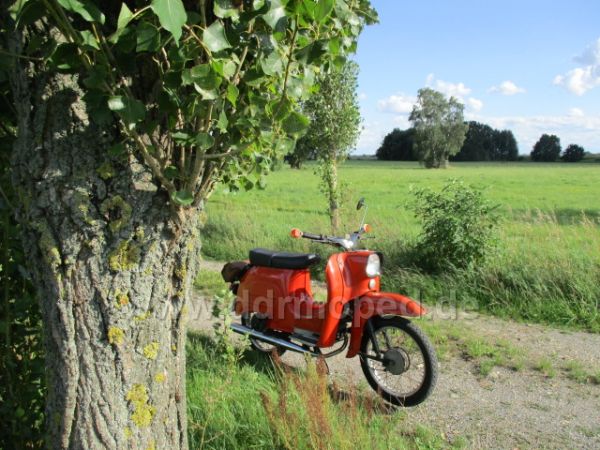 Angefgtes Bild