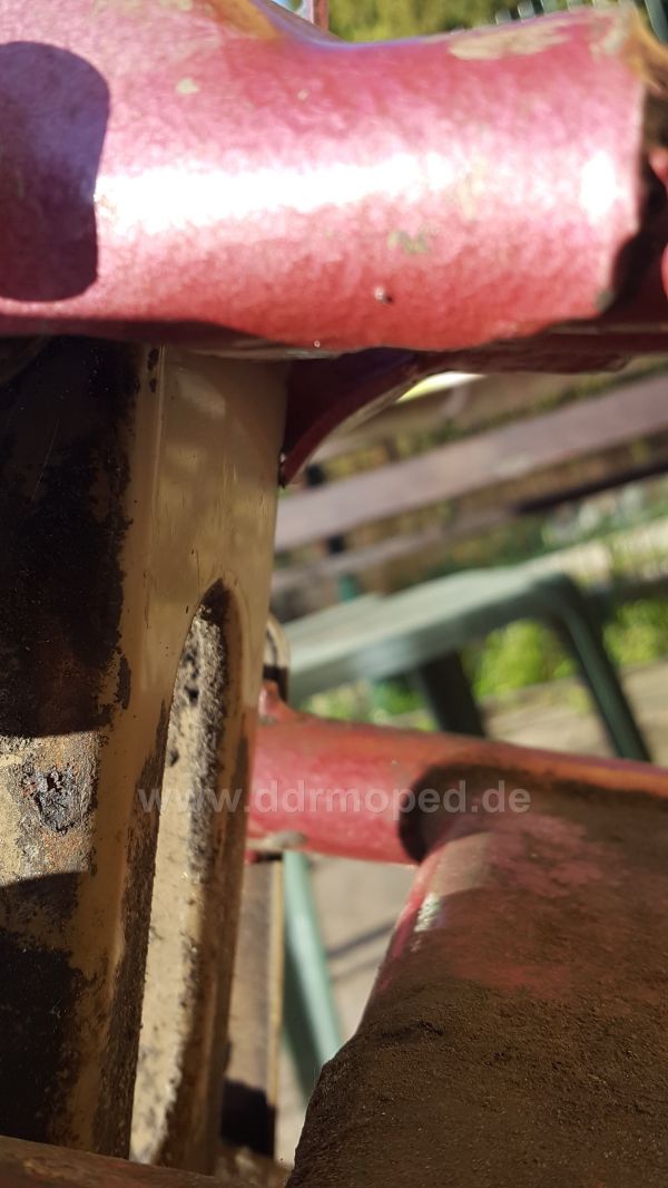 Angefgtes Bild