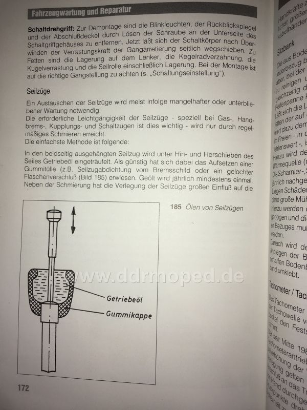 Angefgtes Bild