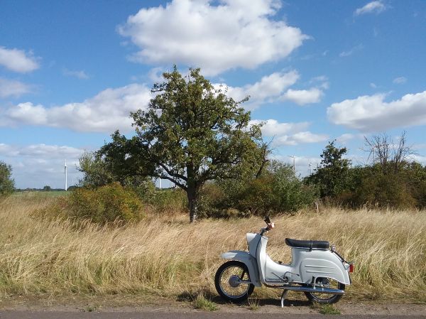 Angef�gtes Bild