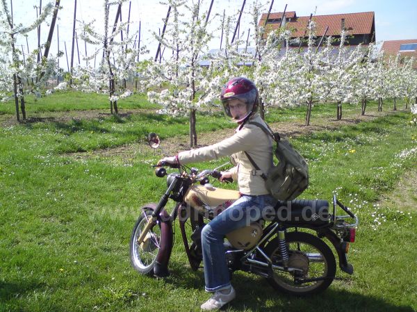 Angefgtes Bild