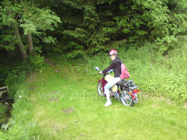 Angefgtes Bild