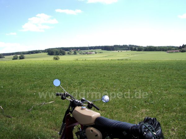 Angefgtes Bild