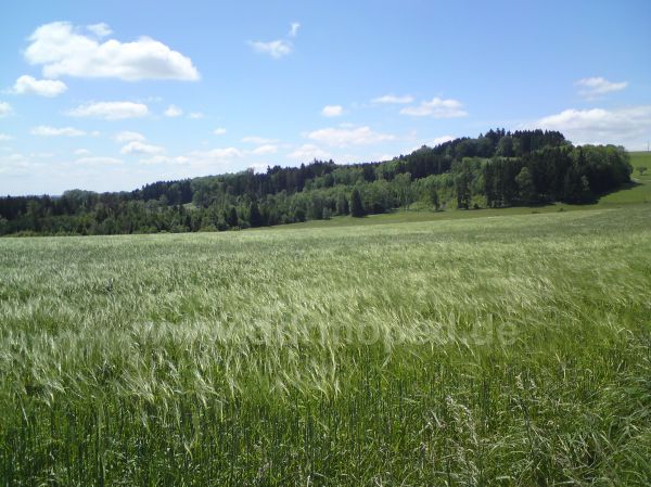 Angefgtes Bild