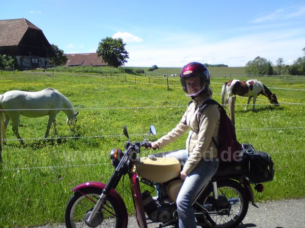 Angefgtes Bild