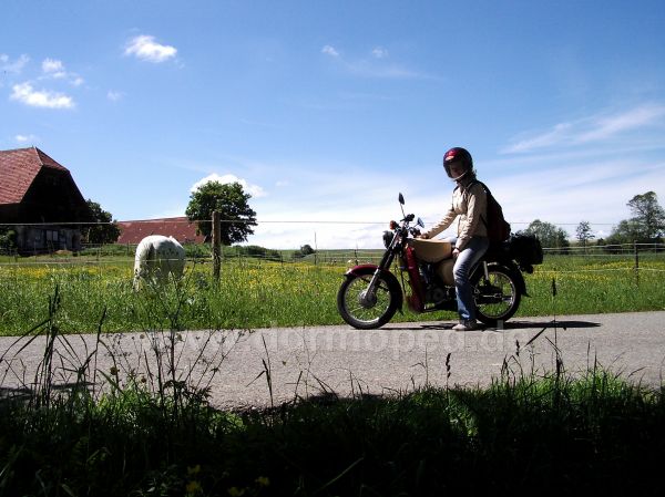 Angefgtes Bild