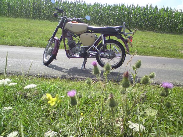 Angefgtes Bild