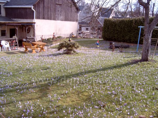 Angefügtes Bild