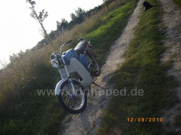 Angefügtes Bild