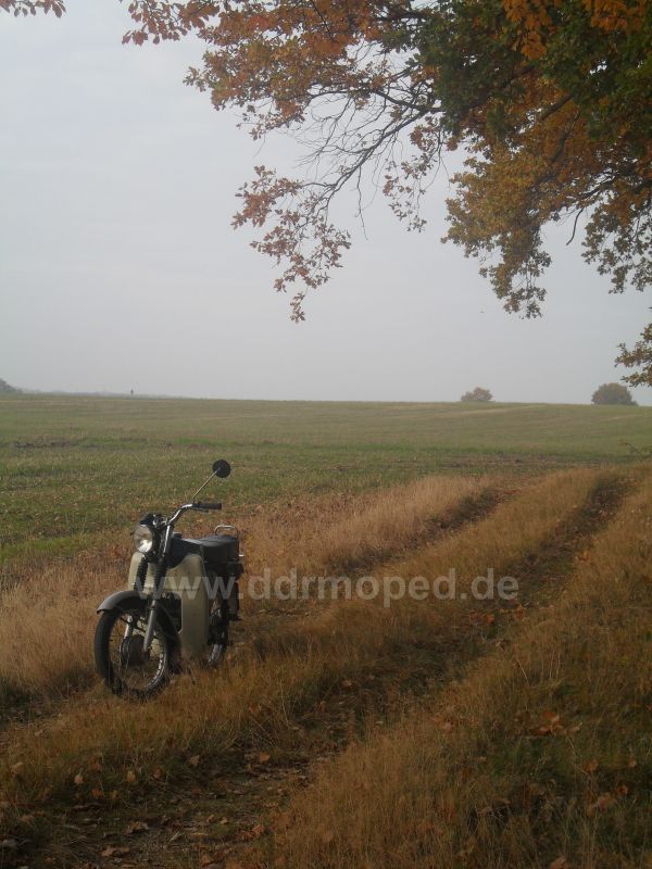 Angefgtes Bild