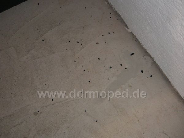 Angefgtes Bild