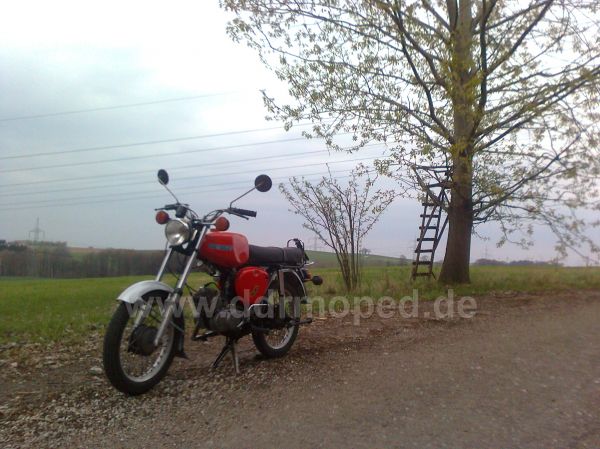 Angefgtes Bild