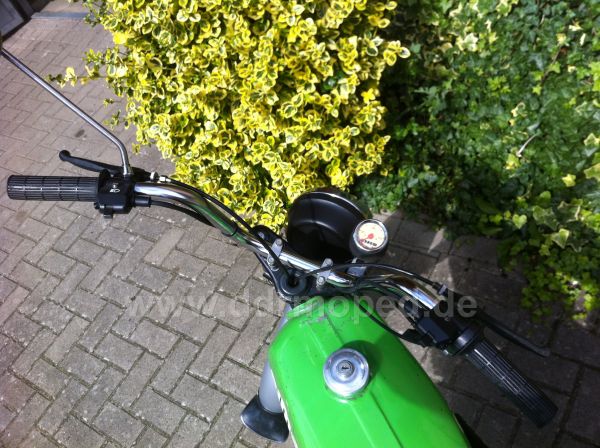 Angefgtes Bild