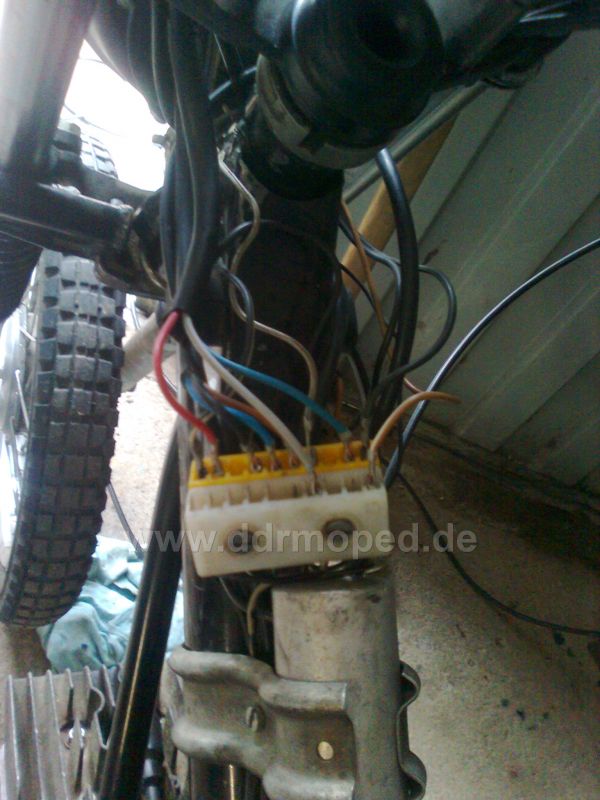 Angefgtes Bild