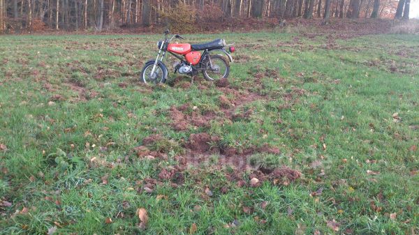 Angefgtes Bild