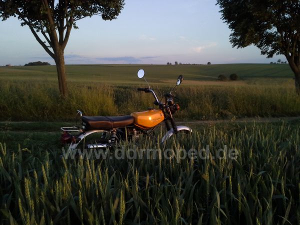 Angefgtes Bild