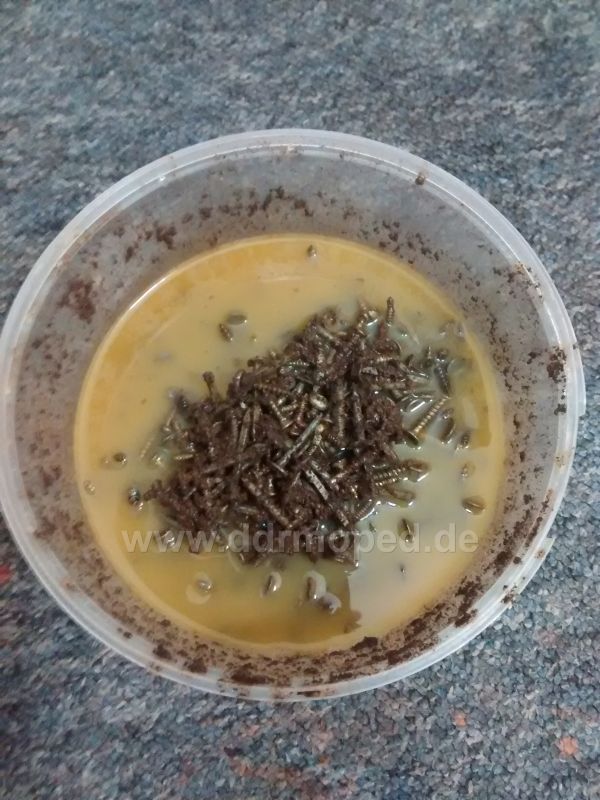 Angefügtes Bild