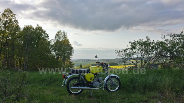 Angefgtes Bild