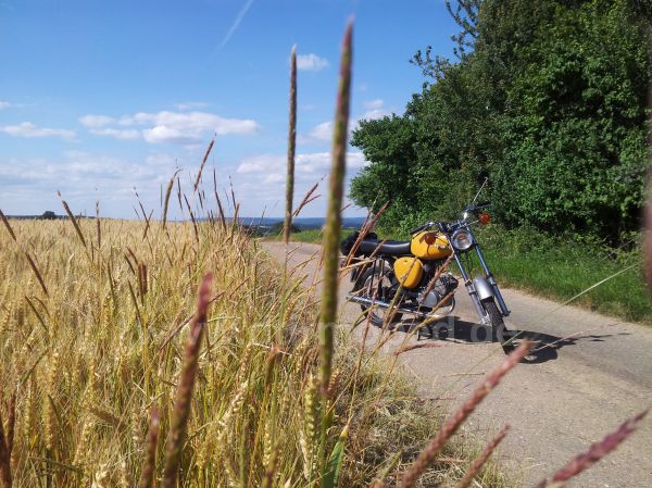 Angefgtes Bild
