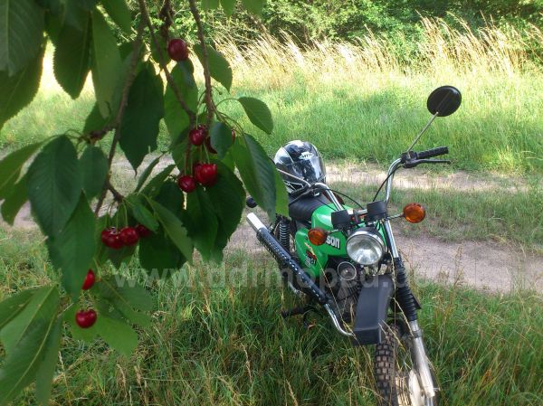 Angefgtes Bild