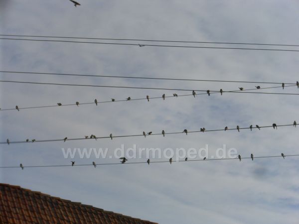 Angefügtes Bild