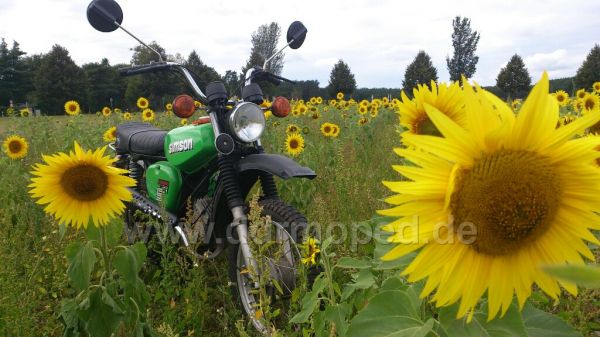 Angefgtes Bild