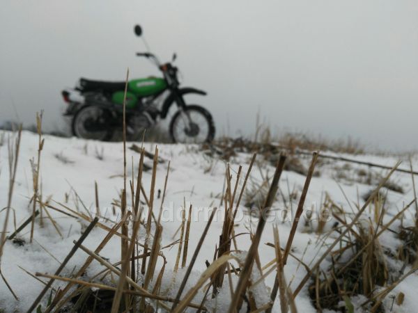 Angefgtes Bild